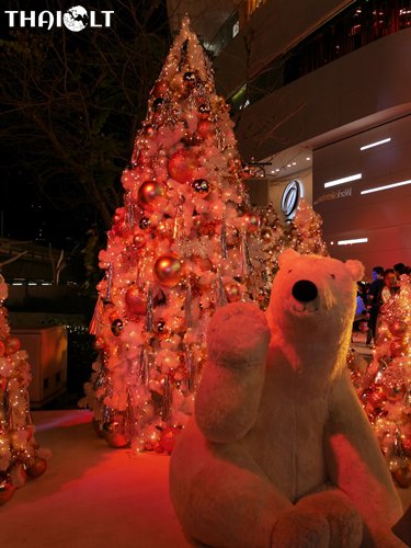 Polar Bear Polar Bear