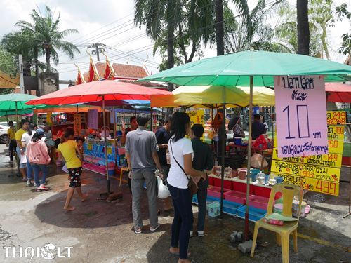 Animal Release for Making Merit in Thailand Animal Release for Making Merit in Thailand