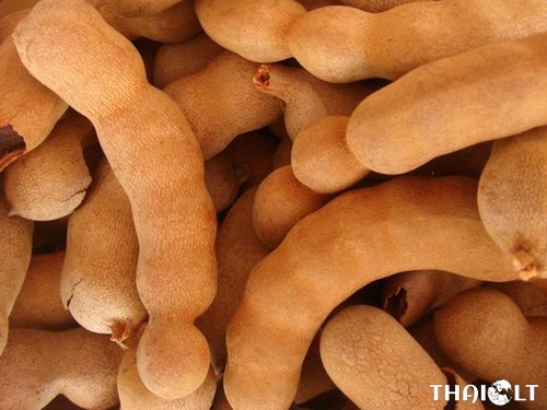 Tamarind or Ma Kam Tamarind or Ma Kam