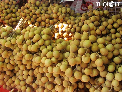Longan or Lam-Yai Longan or Lam-Yai