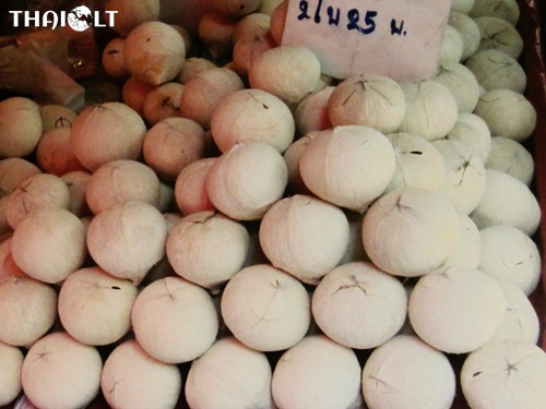 Coconut or Ma-Prao Coconut or Ma-Prao
