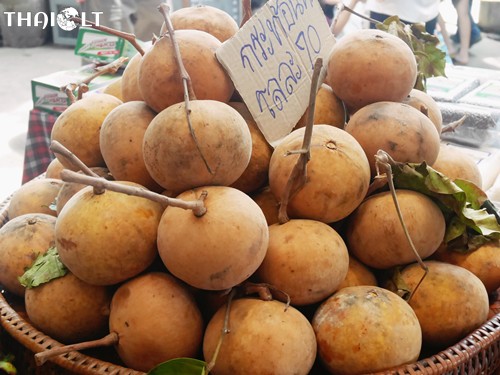 Santol or Kra-Thon Santol or Kra-Thon