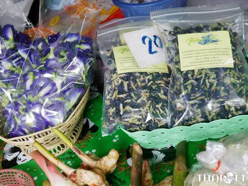 Butterfly Pea Flower Butterfly Pea Flower