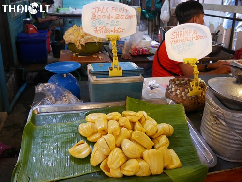 Stambusis duonvaisis - Jack Fruit Stambusis duonvaisis - Jack Fruit
