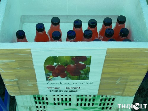 Bengal Currant Juice Bengal Currant Juice