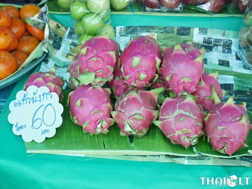 Dragon fruit (Gao Mung Gorn) at Taling Chan Floating Market Dragon fruit (Gao Mung Gorn) at Taling Chan Floating Market
