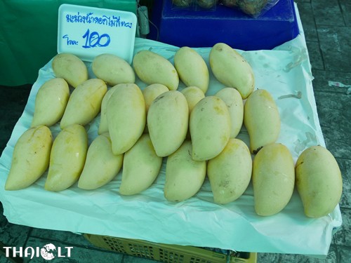Nam Dok Mai Sweet Mango (Ma-Muang) Nam Dok Mai Sweet Mango (Ma-Muang)