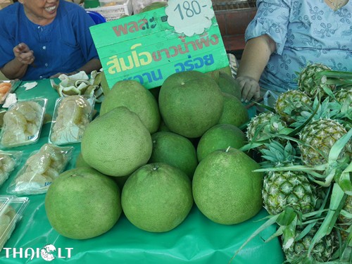 Huge Pomelo 