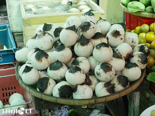 Roasted Coconut Roasted Coconut