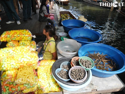 Animal Release for Making Merit in Thailand