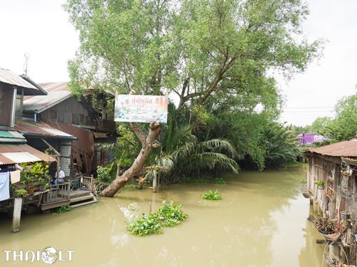 100 Year Baan Mai Market in Chachoengsao