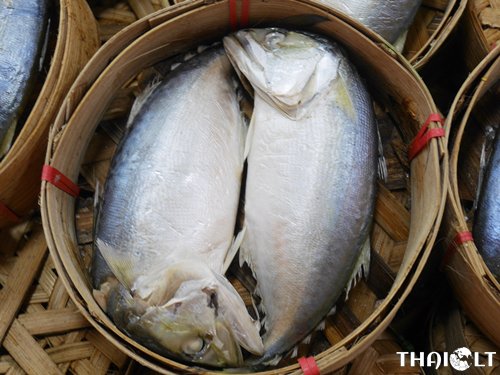 Pla Tuu (Mackerel Fish) Pla Tuu (Mackerel Fish)